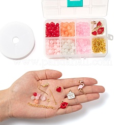 Ensemble de bijoux de bricolage faisant des kits pour la saint valentin&nbsp;DIY-LS0001-85