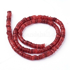 Perlas de concha hebras&nbsp;SSHEL-E571-49H