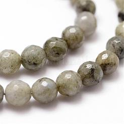 Chapelets de perles en labradorite naturelle &nbsp;G-D840-10-6mm