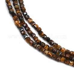 Natürlichen Tigerauge Perlen Stränge&nbsp;G-P457-B01-51