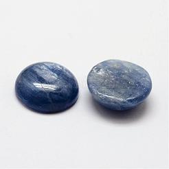 Natürliche Cyanit / Cyanit / Disthen-Cabochons&nbsp;G-O146-01G