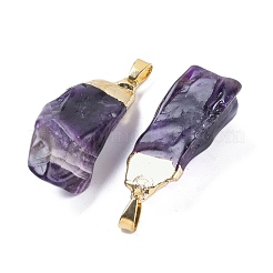 Natürlichen Amethyst Edelsteinanhänger&nbsp;KK-F868-27G