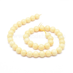 Natürliche gelbe Jade Perlen Stränge&nbsp;G-D0010-02-10mm