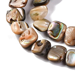 Natur Paua Muschel Perlen Stränge&nbsp;BSHE-B007-02