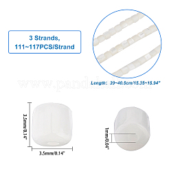 3 Strang natürliche Trochid Muschel/Trochus Muschel Perlenstränge&nbsp;SSHEL-FH0001-12
