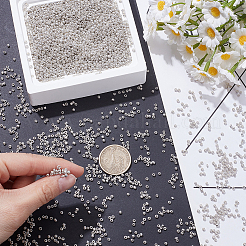 100g 12/0 perlas de vidrio&nbsp;SEED-SP0001-12A-02