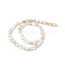 Hebras de cuentas de concha de agua dulce natural galvanizadas&nbsp;X-SHEL-K001-002