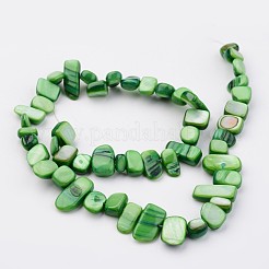 Conchiglia naturale fili di perle&nbsp;X-BSHE-P020-03