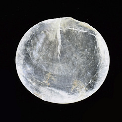 Flache runde Capiz Muschelperlen&nbsp;SSHEL-R035-13-A