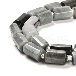 Natürliche Adlerauge Steinperlen&nbsp;G-G068-A24-01