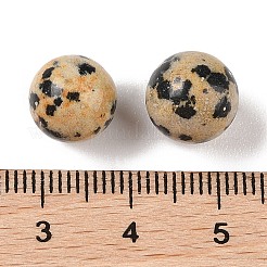 Jaspe dalmatien naturel&nbsp;G-K353-04A-16