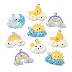 Pendentifs en résine opaque&nbsp;RESI-D016-06