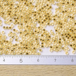Miyuki Delica Perlen&nbsp;SEED-MY11-DB0033