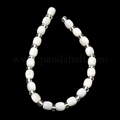 Chapelets de perles de coquille de trochid / trochus coquille&nbsp;BSHE-A002-01A