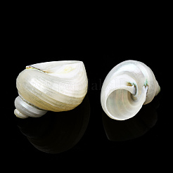 Spirale Shell naturale perline&nbsp;SSHEL-N034-126