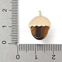 Ciondoli d'occhio di tigre naturale&nbsp;KK-Z107-02G-02