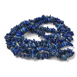 Natürliche Lapislazuli Chip-Perlen Stränge&nbsp;X-G-E271-121