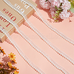 15 Yards Chiffon-Spitzenbesatz&nbsp;OCOR-DR0001-19