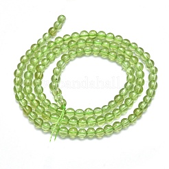 Natürlichen Peridot Perlen Stränge&nbsp;G-K305-02-A