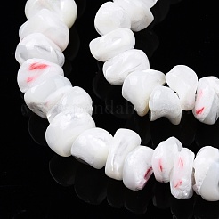 Fili di perle di conchiglia trochid naturale / trochus&nbsp;SSHEL-N032-50