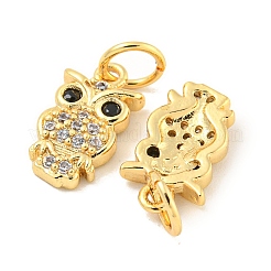 Placage de crémaillère en laiton micro pavé pendentifs en zircone cubique claire&nbsp;LS-KK-B093-02E-G