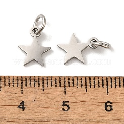 Anlaufgeschützte Charms aus Edelstahl 201&nbsp;STAS-E217-25B-P