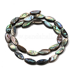 Colliers de perles en nacre d'ormeau naturelle&nbsp;SH-CBA69D1-01