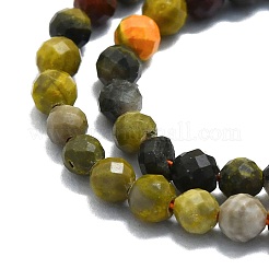 Fili di perle di diaspro naturale calabrone&nbsp;G-P457-A02-30