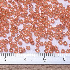 Perles rocailles miyuki rondes&nbsp;LS-X-SEED-G007-RR0553