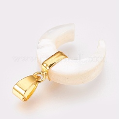 Pendentifs en nacre blanche naturelle&nbsp;KK-G346-01A