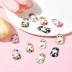 12pcs 6 pendentifs en alliage de couleurs&nbsp;FIND-FS0003-02