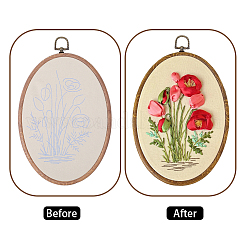 DIY-Stickerei-Anfänger-Sets&nbsp;DIY-WH20063-006C