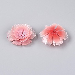 Capuchons de perles en acrylique thermorétractables&nbsp;OACR-N155-02D
