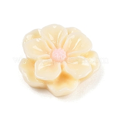 Cabochons di opaco resina&nbsp;CRES-D283-01C-03