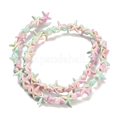 Chapelets de perles en turquoise synthétique&nbsp;TURQ-F020-B04