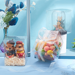 PVC-Aufbewahrungsboxen&nbsp;CON-WH0086-089