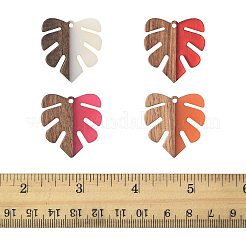 6 colgante de resina y madera de nogal.&nbsp;RESI-FS0002-21