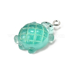Pendenti in resina trasparente&nbsp;FIND-U030-02P