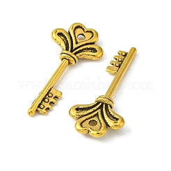 Tibetischer stil Aluminium Anhänger & Charms&nbsp;LS-TIBEP-12928-AG-LF