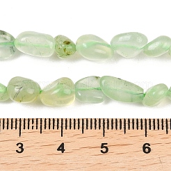 Natur Prehnit Perlen Stränge&nbsp;G-K395-B08-01