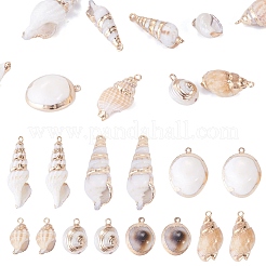 14 pieza de 7 estilos de colgantes de concha mixta natural galvanizada&nbsp;BSHE-TA0001-34B