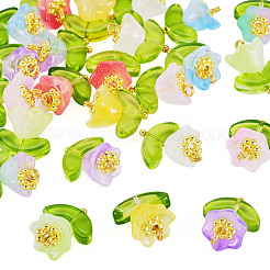 24 Stück 8 Farben sprühlackierte transparente Glasanhänger&nbsp;PALLOY-TADJ00013
