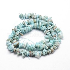 Larimar naturale perline di chip fili&nbsp;G-E271-77