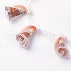 Naturali di acqua dolce perline shell fili&nbsp;BSHE-L036-21
