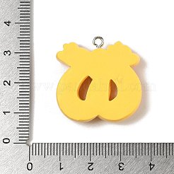 Pendentifs en résine opaque&nbsp;RESI-RESI-R462-01B