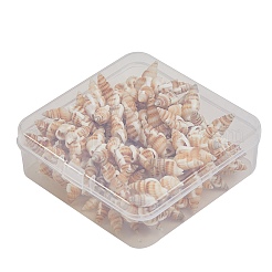 Spirale naturale perline shell fili&nbsp;BSHE-SZ0001-03