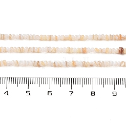 Eau douce naturelle de coquillage perles brins&nbsp;SHEL-P017-01A-10