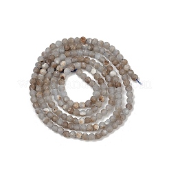 Chapelets de perles en angélite naturelle&nbsp;G-RM2025-A48-A