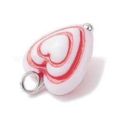 Opake Acryl Anhänger&nbsp;PALLOY-JF04352-01