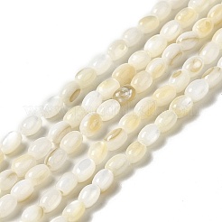 Filo di perline di conchiglia d'acqua dolce naturale&nbsp;BSHE-E026-16A